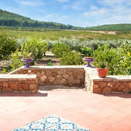 Cozy In San Michele Di Ganzari With Kitchen Holiday home San Michele di Ganzaria